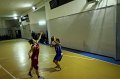 Basket 443028